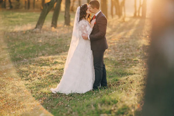 Meraviglioso giorno del matrimonio — Foto Stock