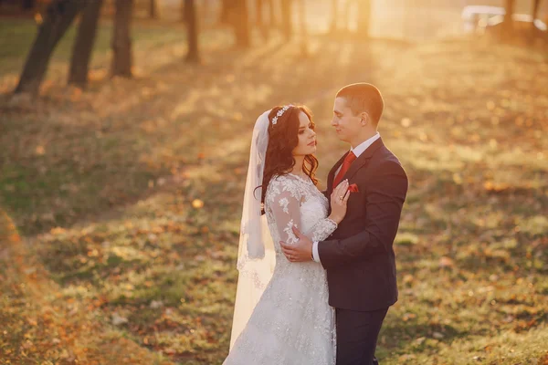 Wspaniałe ślubu — Zdjęcie stockowe