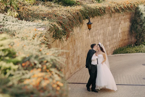 Wedding day HD — Stock Photo, Image