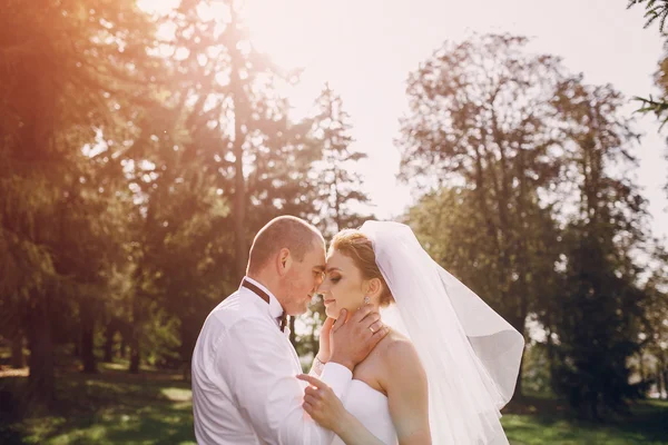 Dia do casamento hd — Fotografia de Stock