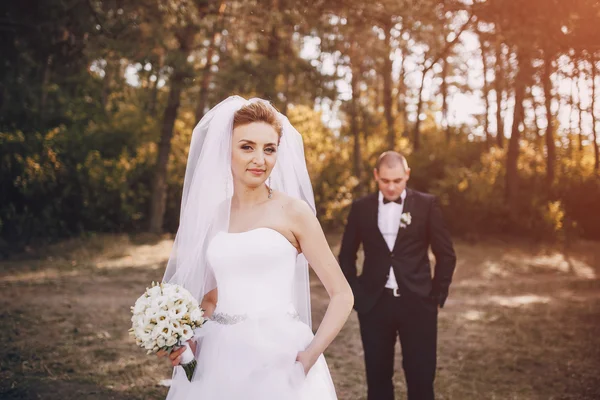 Hochzeitstag — Stockfoto