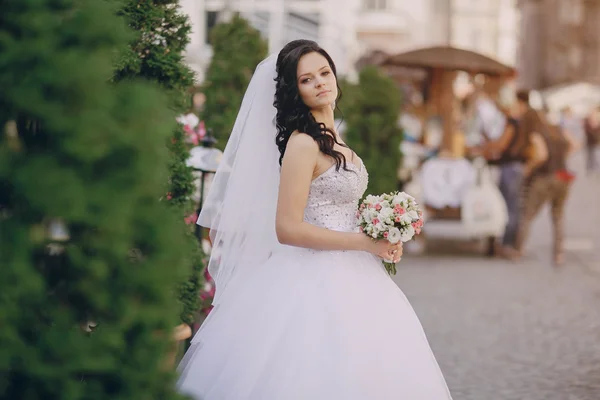 Dia do casamento hd — Fotografia de Stock