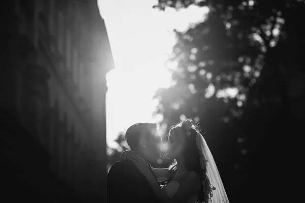 Giorno del matrimonio HD — Foto Stock