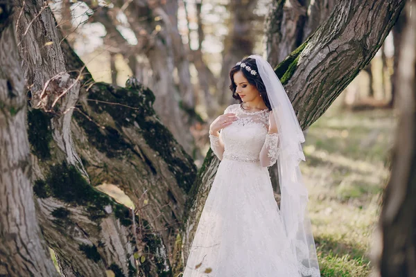 Wunderbarer Hochzeitstag — Stockfoto