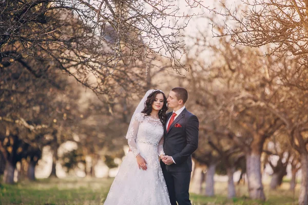 Meraviglioso giorno del matrimonio — Foto Stock