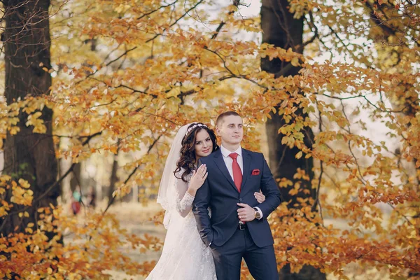 Maravilloso día de boda —  Fotos de Stock