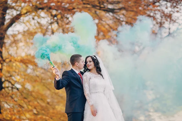 Meraviglioso giorno del matrimonio — Foto Stock