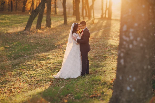 素敵な結婚式の日 — ストック写真