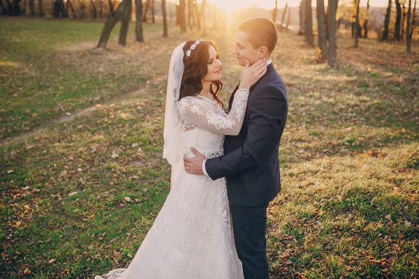 Meraviglioso giorno del matrimonio — Foto Stock