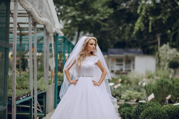 Giorno del matrimonio a odessa — Foto Stock