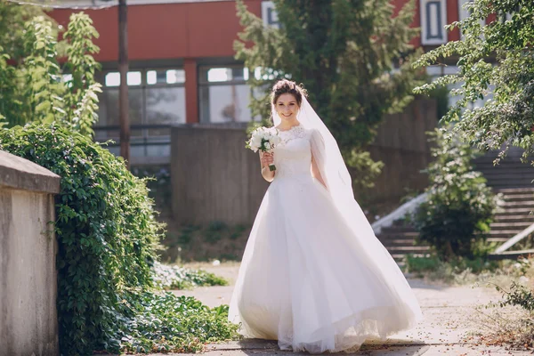 Wedding day HD — Stock Photo, Image