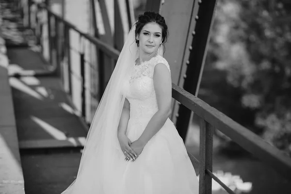 Giorno del matrimonio HD — Foto Stock