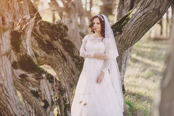 Wunderbarer Hochzeitstag — Stockfoto