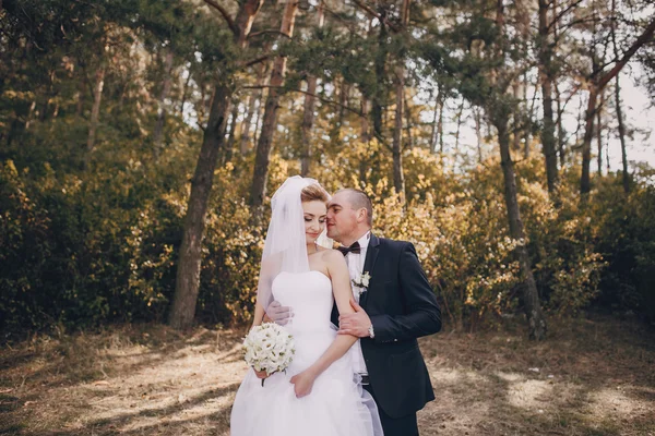 Dia do casamento hd — Fotografia de Stock