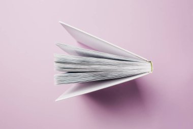 Pembe arka planda açık bir kitap. Eğitime ve okuma konseptine ayak uydur. Öğrenim, gelişme ve neşe edebiyatı