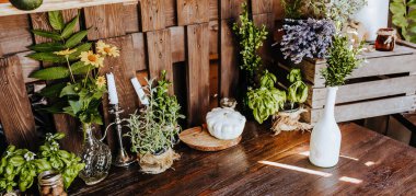 Dışarıdaki ahşap kırsal mutfak masasının kompozisyonu bitkiler, sebzeler. Yazın kır evi.