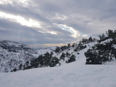 Doğanın güzelliğini gösteren fotoğraflar.