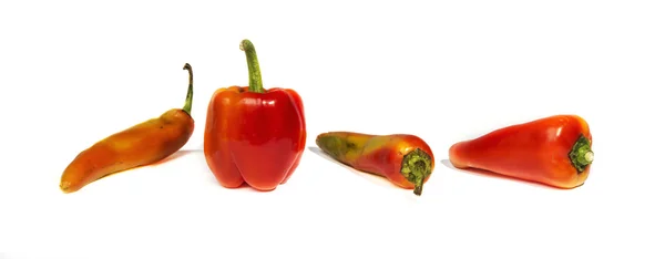 Четыре различных красных перца — стоковое фото