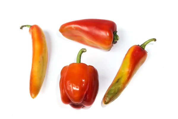 Τέσσερις διαφορετικές πιπεριές κόκκινες — Φωτογραφία Αρχείου