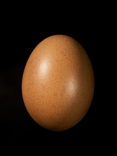 Červený slepičí vejce — Stock fotografie