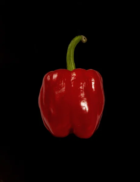 Red pepper on black — Stock Photo, Image