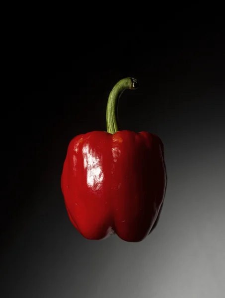 Красный перец на черно-белый — стоковое фото