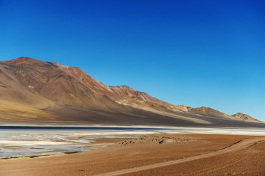 Atacama gölünde altoandina