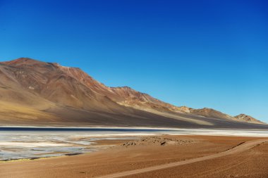 altoandina lagoon in Atacama clipart