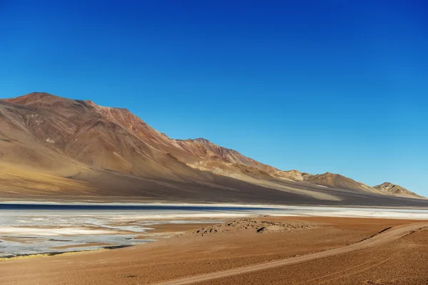 Atacama gölünde altoandina