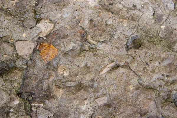 Fundo Para Uma Parede Feita Pedra Fina — Fotografia de Stock