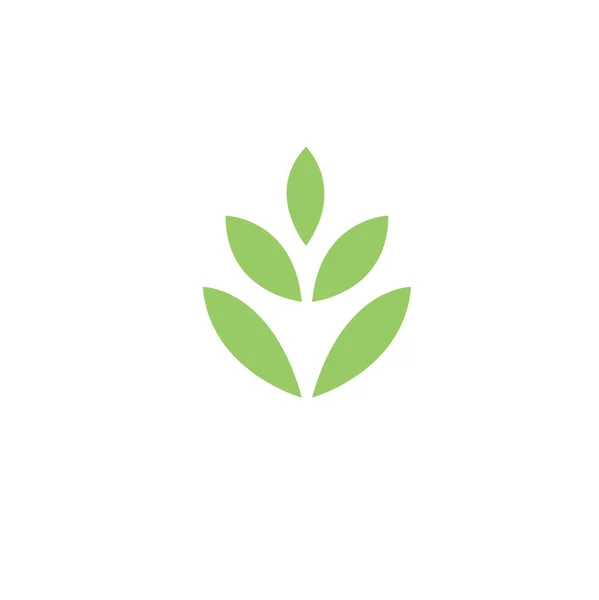 Дизайн Листа Икона Зеленый Свежий Уникальный Дизайн — стоковый вектор