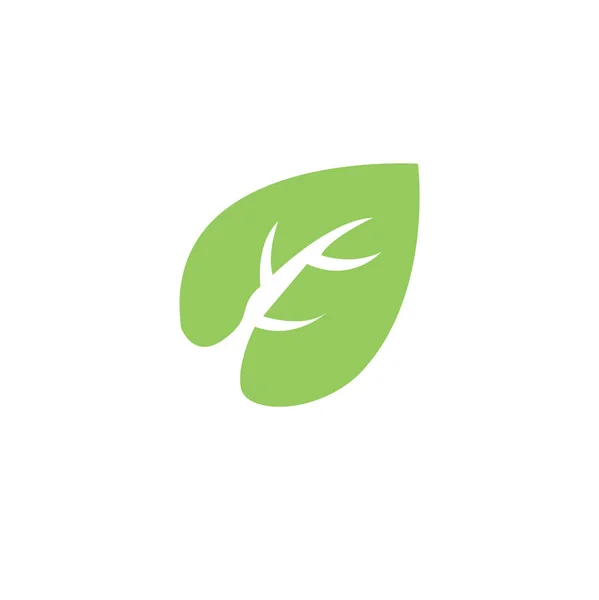 Icona Leaf Design Verde Fresco Design Unico — Vettoriale Stock
