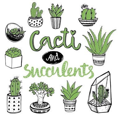 set of cacti and succulents