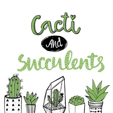  Kaktüsler ve succulents