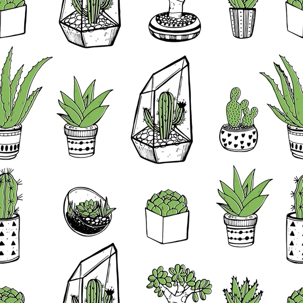 Patrón con cactus y suculentas — Vector de stock