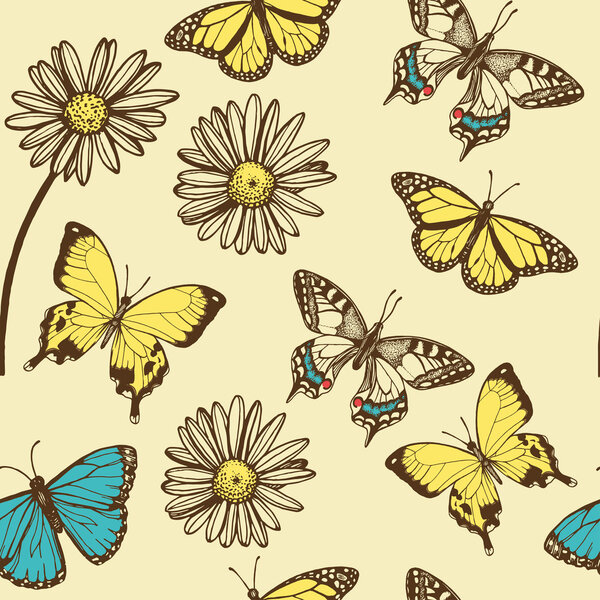 Butterflies, chamomiles background