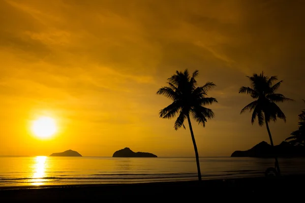 日落热带海滩上两棵棕榈树的轮廓 — 图库照片