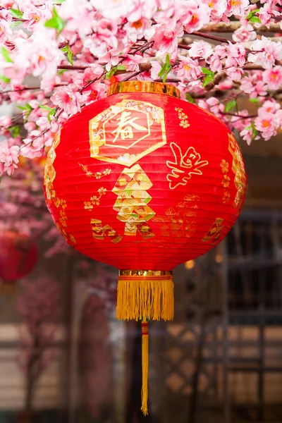 Kinesiska nyåret dekoration traditionella lykta och plum blossom — Stockfoto