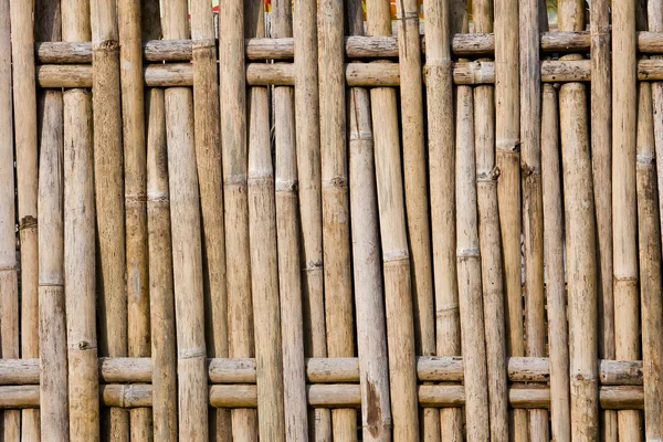 Mur en bambou tropical pour le fond et la texture — Photo