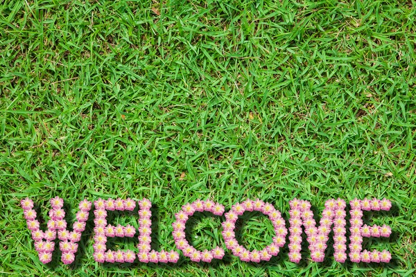 Slovo "Welcome" Lotus na trávě v přírodě — Stock fotografie