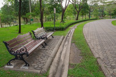 Bahçedeki çimlerin üzerine ahşap sandalye