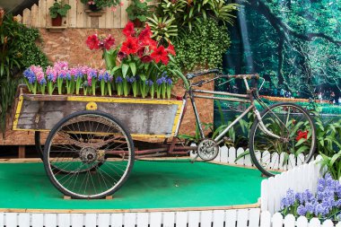 Baharda güzel bir buket lale.