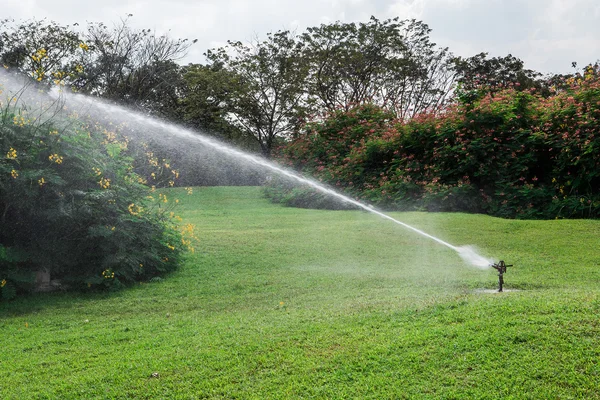 Разбрызгиватель воды в саду в солнечный летний день — стоковое фото