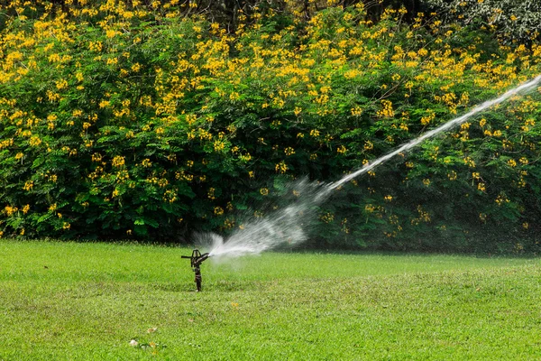 Καταιονισμού ύδατος στο κήπο γκαζόν σε μια ηλιόλουστη καλοκαιρινή μέρα — Φωτογραφία Αρχείου
