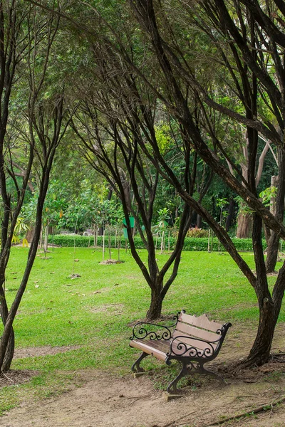Ξύλινες καρέκλες στο γρασίδι στον κήπο — Φωτογραφία Αρχείου