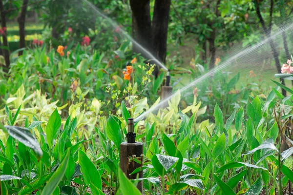 Aspersor de agua en Garden Lawn en un día soleado de verano —  Fotos de Stock