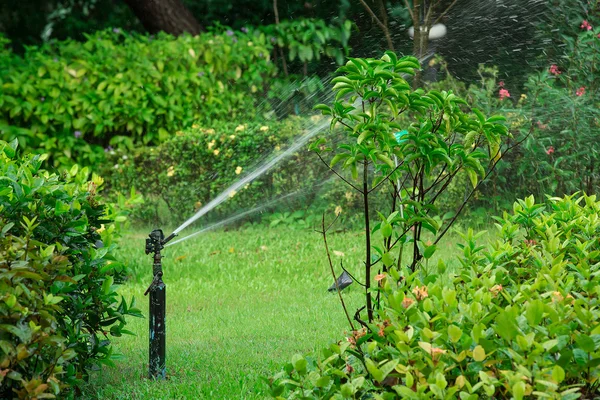 Aspersor de água no jardim gramado em um dia ensolarado de verão — Fotografia de Stock