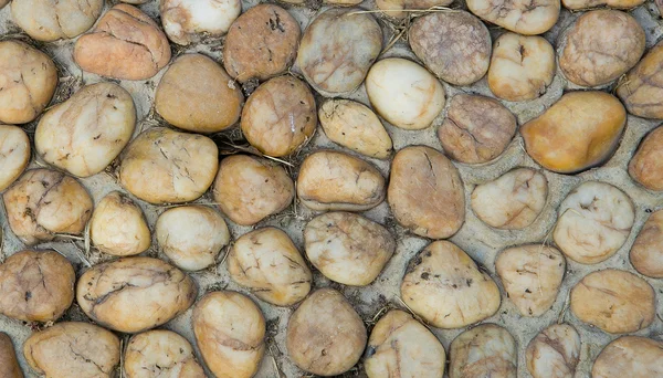 Color stone in the cement floor for background texture. — Stock Photo, Image