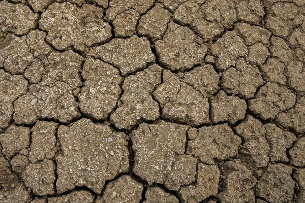 Rissige Erde, trockenes Land. Riss im Boden, trockener rissiger Boden — Stockfoto