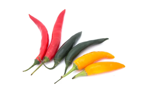 Chili peper frorm aard geïsoleerd op witte achtergrond — Stockfoto